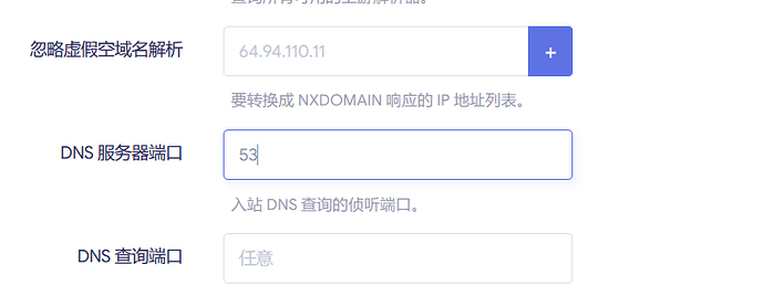 dnsmasq端口设置