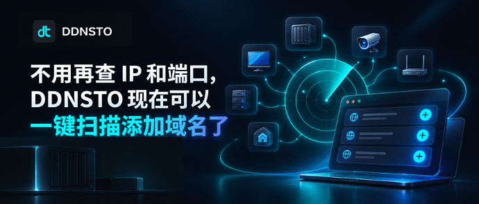 9.9ddnsto封面