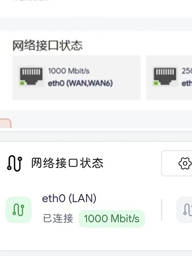 1000078503
